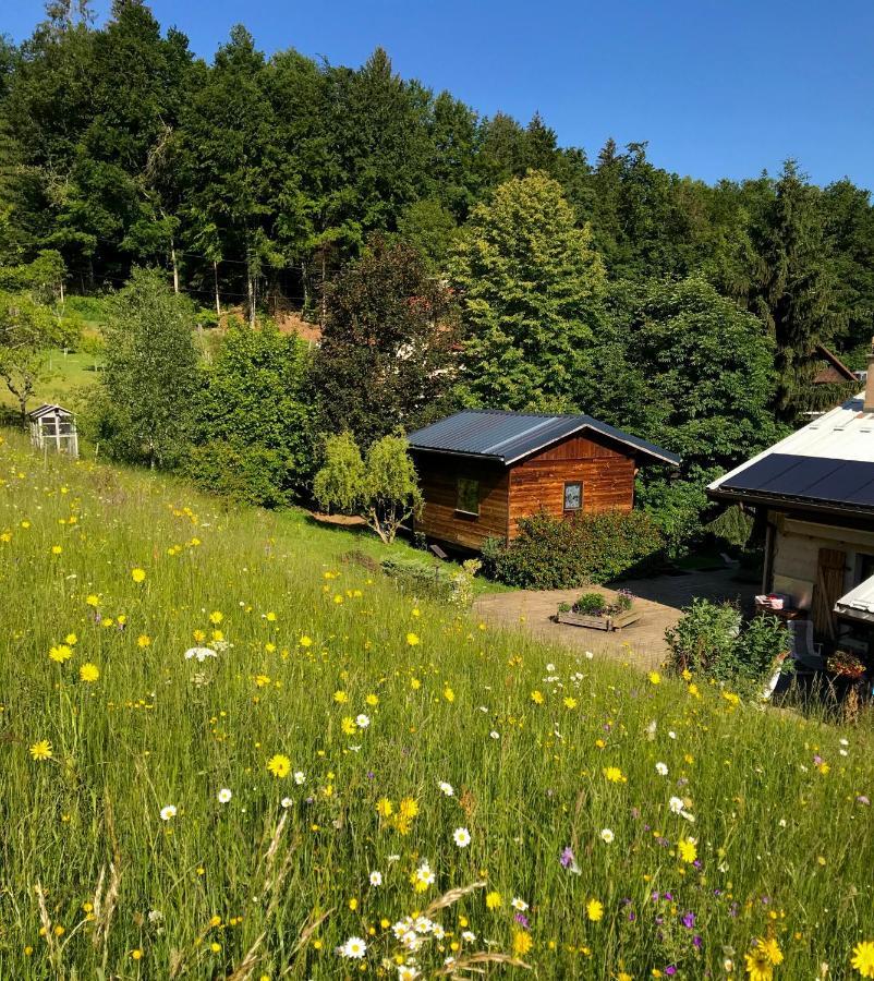 Gîte Le Mazot de Vouan Saint-Andre-de-Boege Extérieur photo